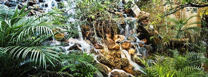 728/The Tree House & Water House Resort - Jaipur 15.jpg